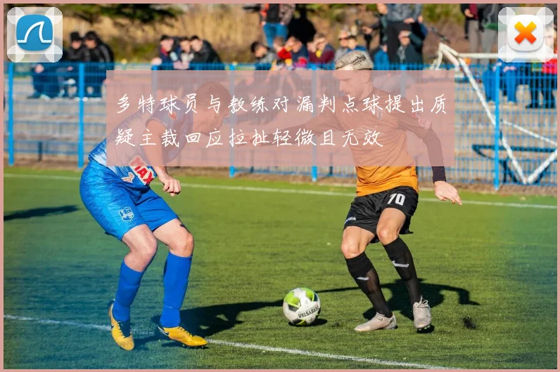 多特球员与教练对漏判点球提出质疑主裁回应拉扯轻微且无效