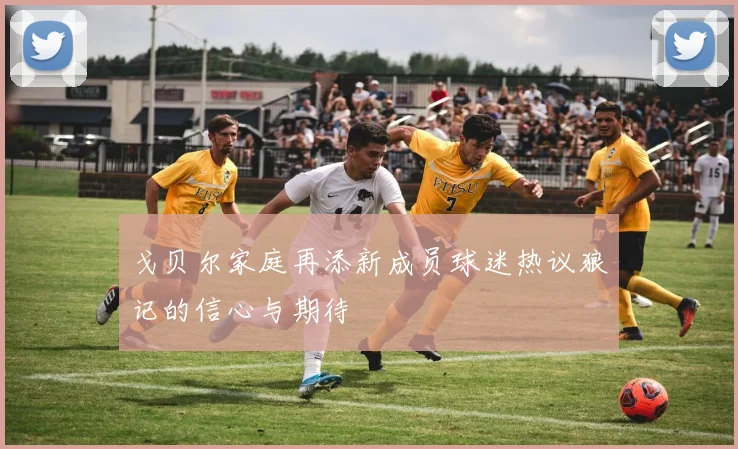 戈贝尔家庭再添新成员球迷热议狼记的信心与期待